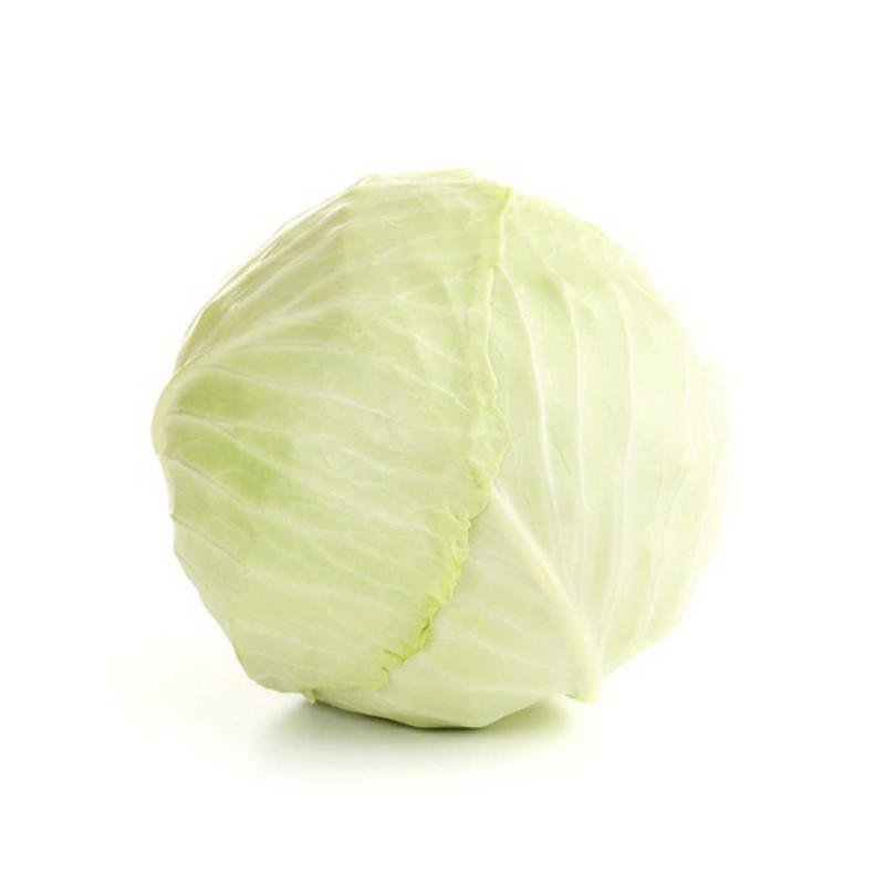 white cabbage
