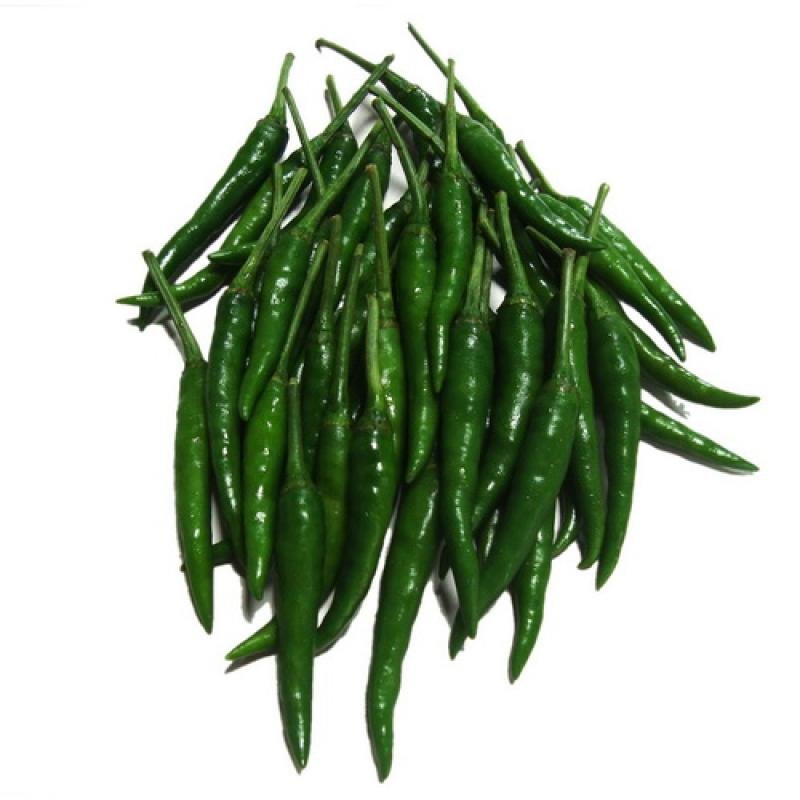 green chilli india
