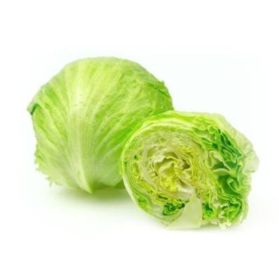 iceburg lettuce