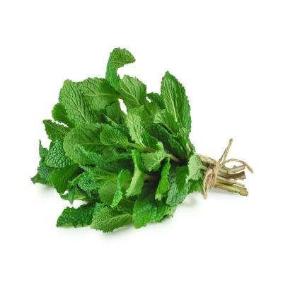 mint leaf