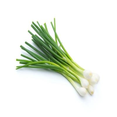 green onion